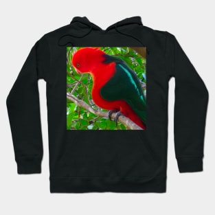 A distorted king parrot! Hoodie